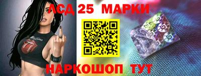 прущие грибы Будённовск