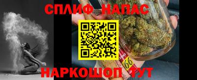 прущие грибы Будённовск