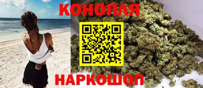 прущие грибы Будённовск