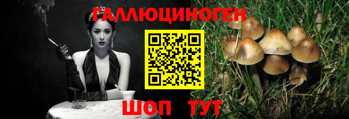 Новый Уренгой  Галлюциногенные грибы Psilocybe  Вход с VPN 